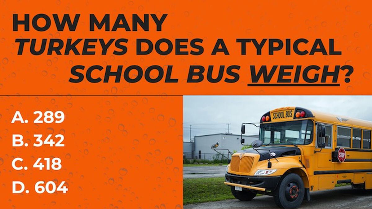 How Many Turkeys? image number null